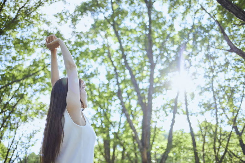 体感の森林浴2